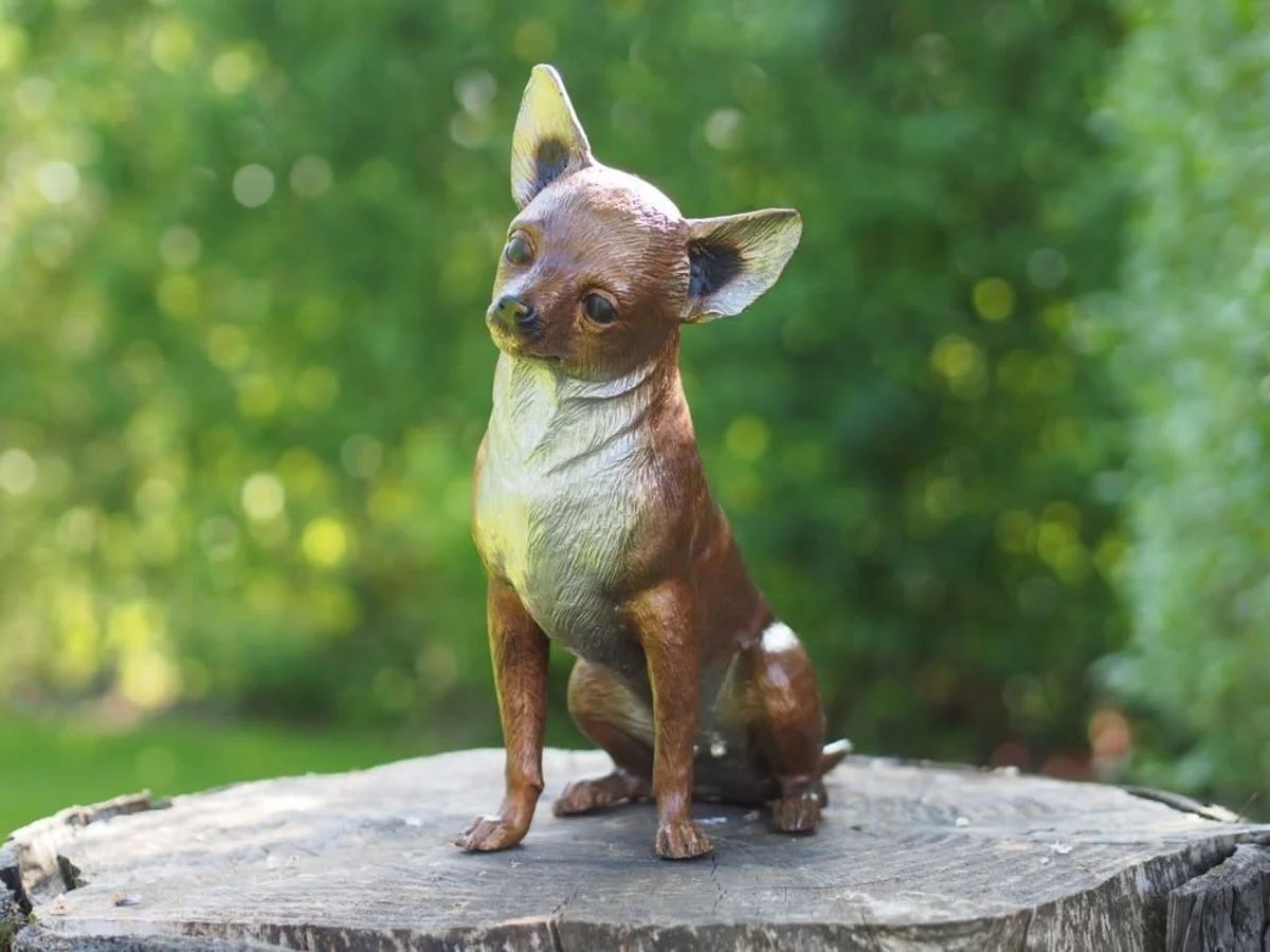 -Bronzefigur kleiner Chihuahua-