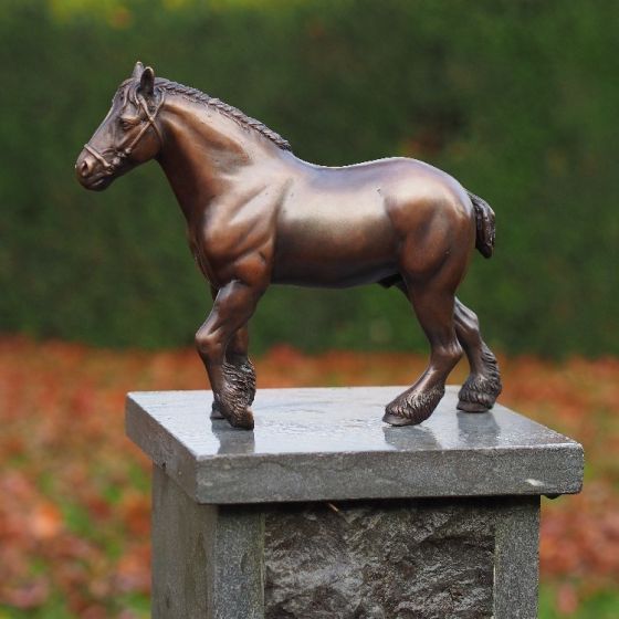 -Bronzefigur kleines belgisches Pferd-