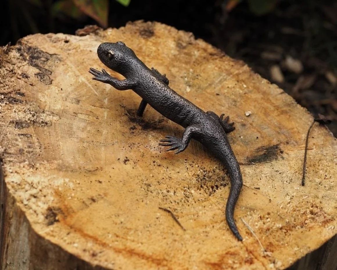 -Bronzefigur Salamander-