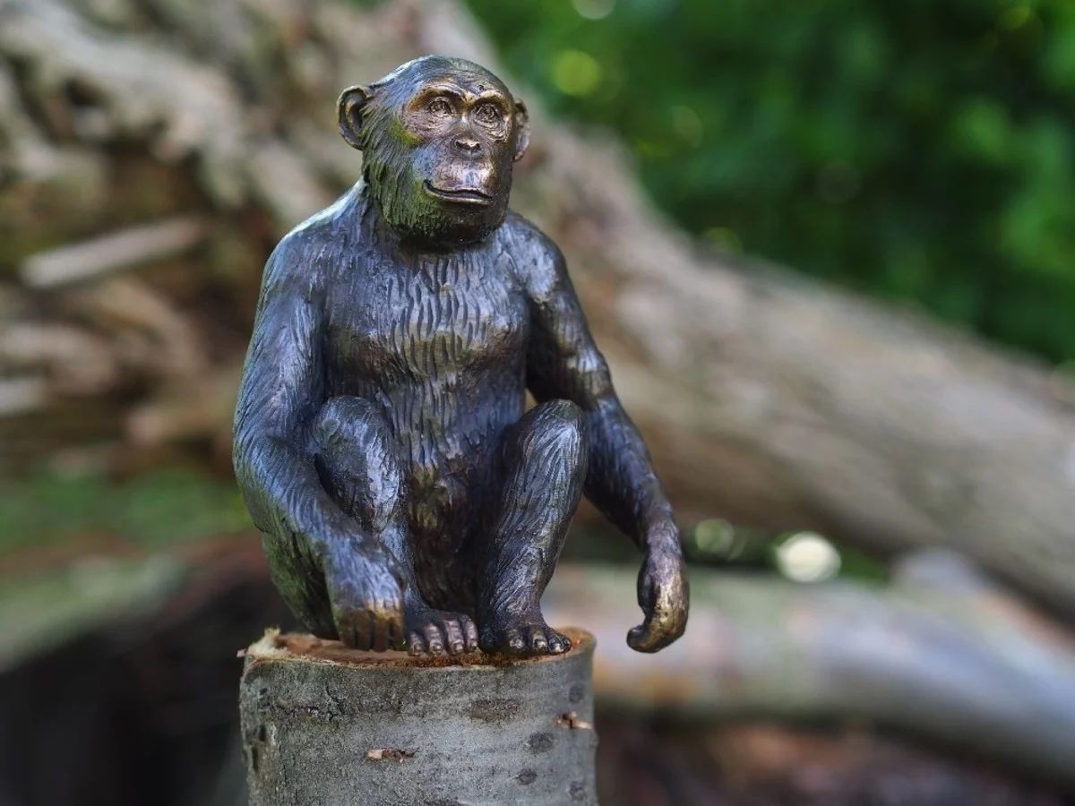 -Bronzefigur sitzender Affe klein-