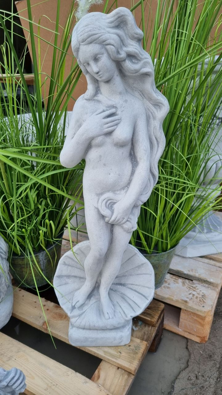 -Gartenfigur -Die Geburt der Venus- medium- antik grau-
