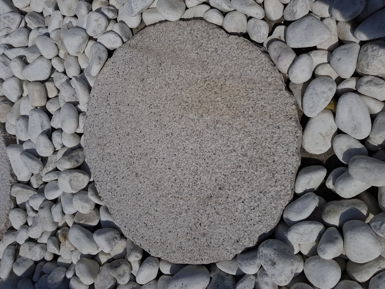 -Granit Trittplatte grau 10er Pack-