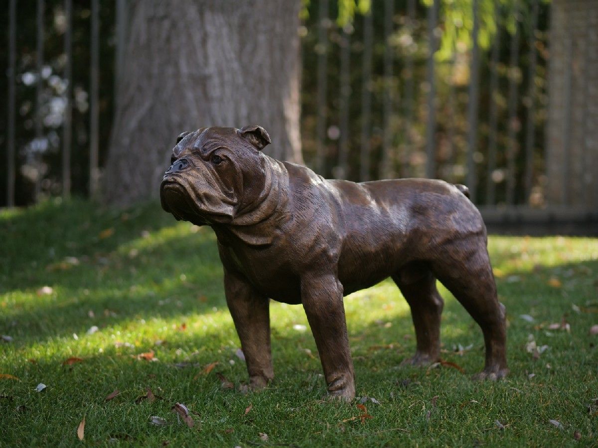 Bronzefigur Englische Bulldogge