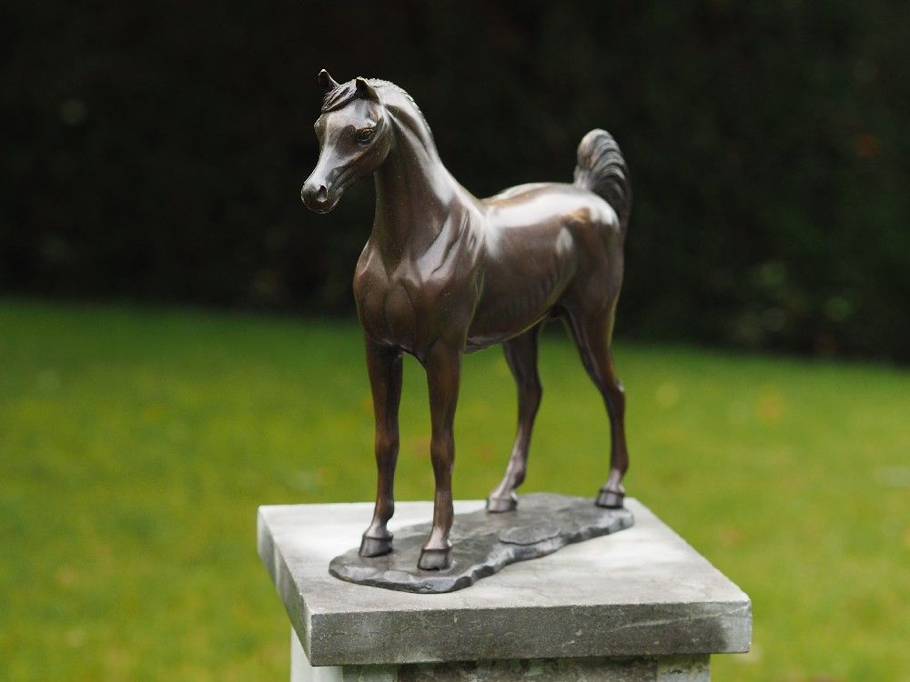 Bronzefigur Schnes Pferd